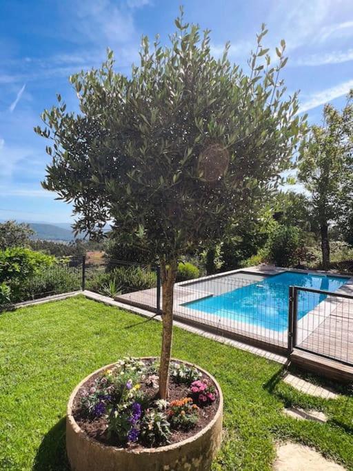 Casa Estrela Villa Alvaiazere Bagian luar foto